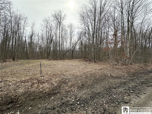 0 Donelson Rd, Busti, NY 14701 - photo 3