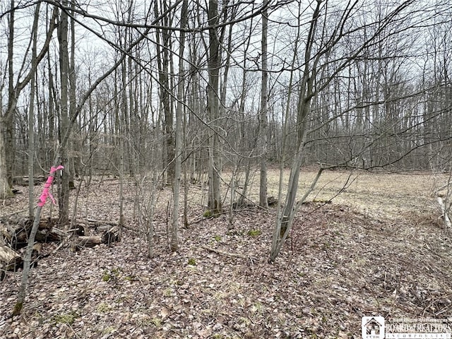0 Donelson Rd, Busti, NY 14701 - photo 4