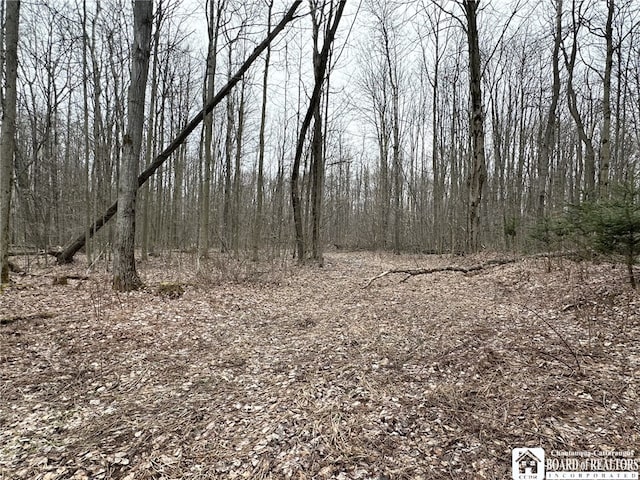 0 Donelson Rd, Busti, NY 14701 - photo 5