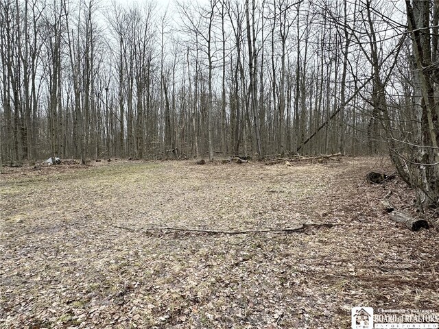 0 Donelson Rd, Busti, NY 14701 - photo 6