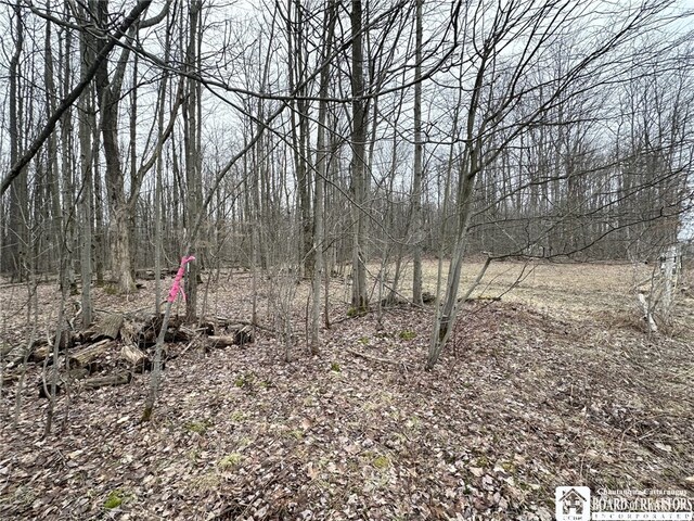 0 Donelson Rd, Busti, NY 14701 - photo 7
