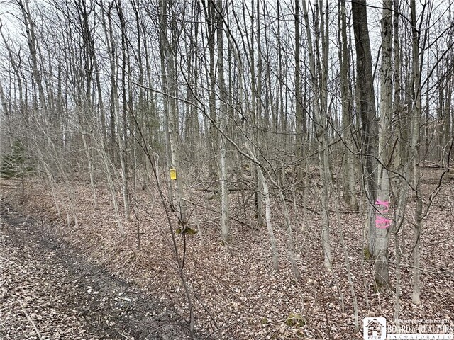 0 Donelson Rd, Busti, NY 14701 - photo 9
