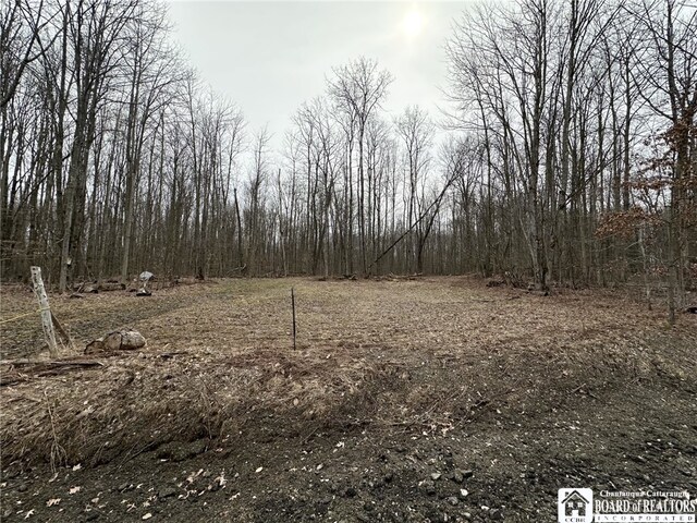 0 Donelson Rd, Busti, NY 14701 - photo 10