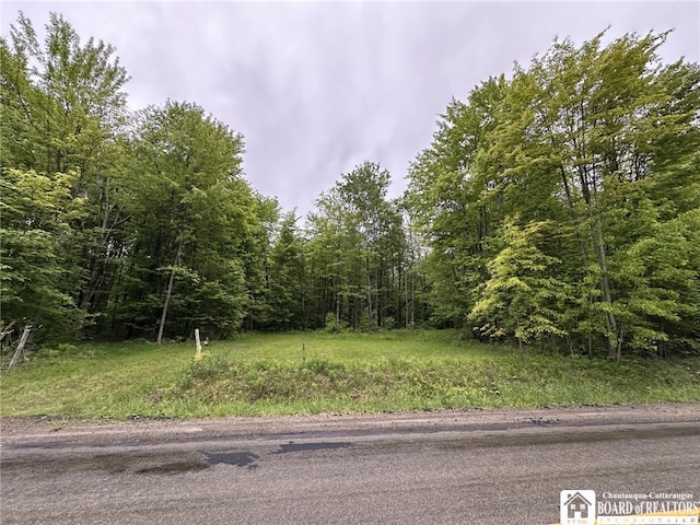 0 Donelson Rd, Busti, NY 14701 - photo 1