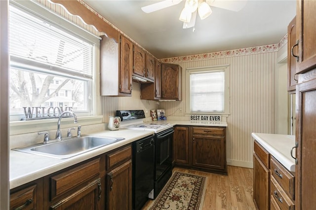 kitchen featuring dishwasher, electric range oven, a sink, and a wealth of natural light