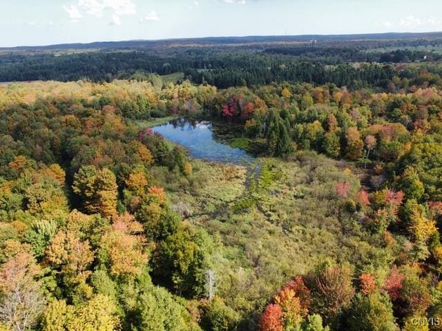 aerial view featuring a water view and a view of trees