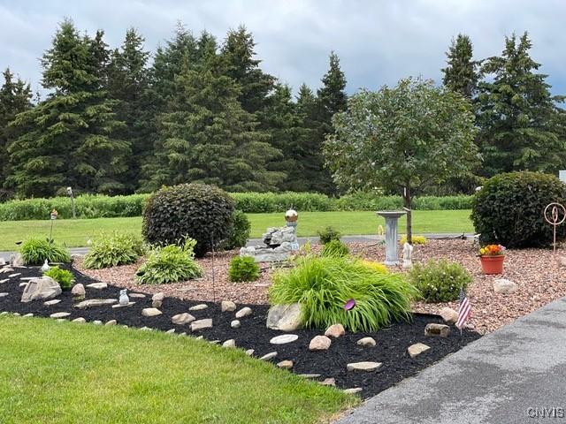 view of home's community featuring a lawn