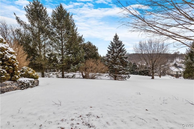 view of yard covered in snow