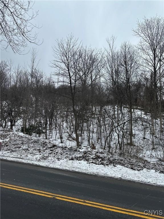 Nottingham Rd, Dewitt NY, 13078 land for sale