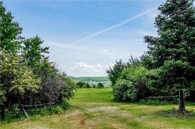 view of yard with a rural view