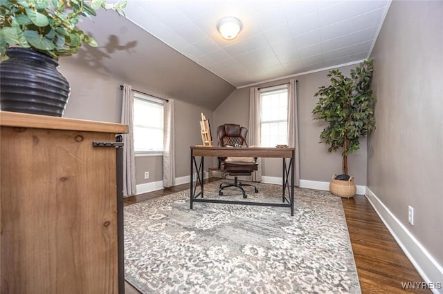 office area featuring lofted ceiling, a healthy amount of sunlight, dark wood finished floors, and baseboards