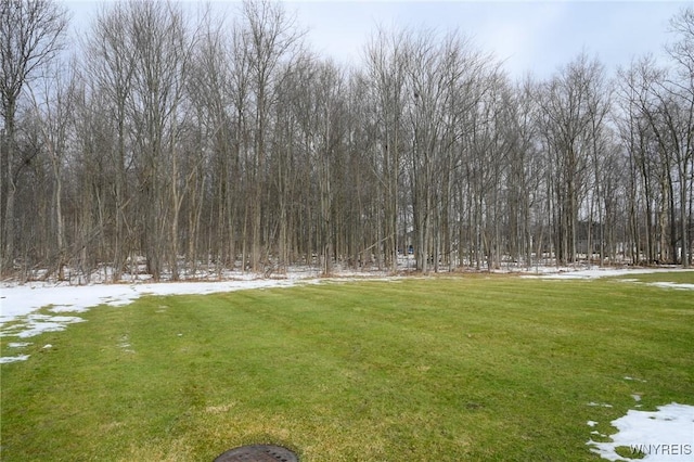 view of yard featuring a forest view