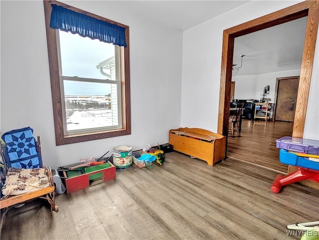 game room featuring wood finished floors