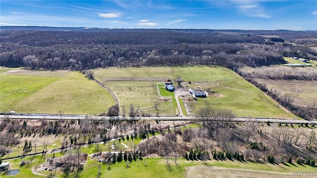 7396 Albro Rd, Pike, NY 14066 - photo 9