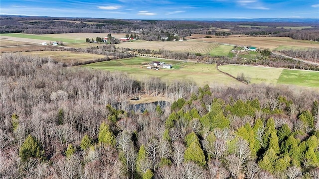 7396 Albro Rd, Pike, NY 14066 - photo 10