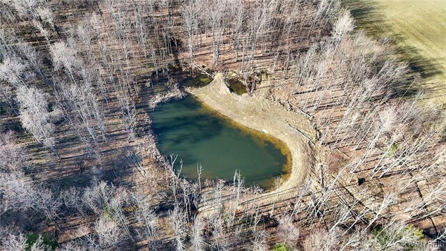 7396 Albro Rd, Pike, NY 14066 - photo 11