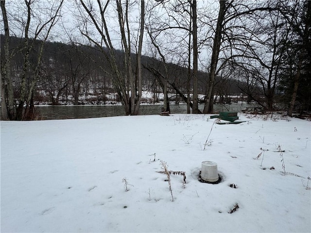 view of snowy yard