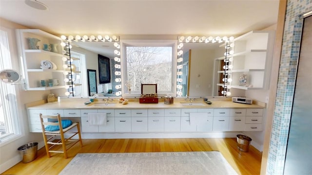 bathroom with double vanity, wood finished floors, and a sink