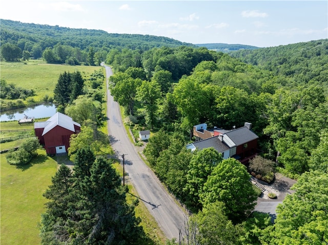 drone / aerial view with a water view and a view of trees