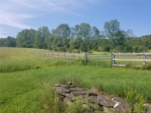 view of yard with fence and a rural view