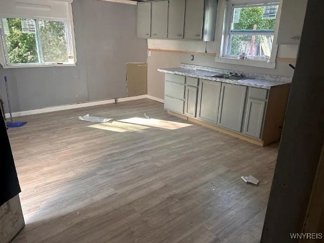 kitchen featuring gray cabinets, a sink, baseboards, and wood finished floors