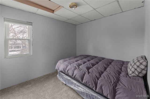 bedroom featuring a paneled ceiling and carpet flooring