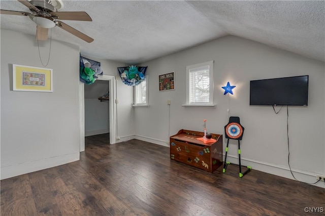 interior space featuring lofted ceiling, a textured ceiling, a ceiling fan, and wood finished floors