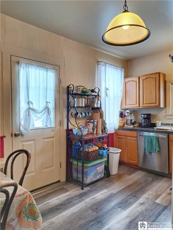 kitchen featuring light wood-type flooring, dishwasher, and dark countertops