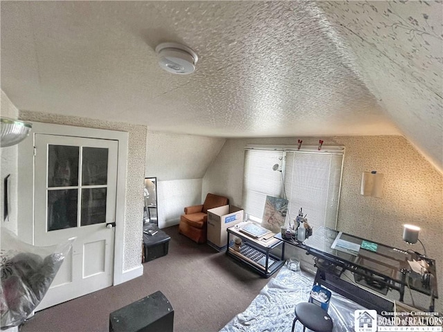 additional living space with lofted ceiling, carpet floors, and a textured ceiling