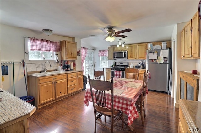 kitchen featuring appliances with stainless steel finishes, backsplash, a sink, and dark wood finished floors