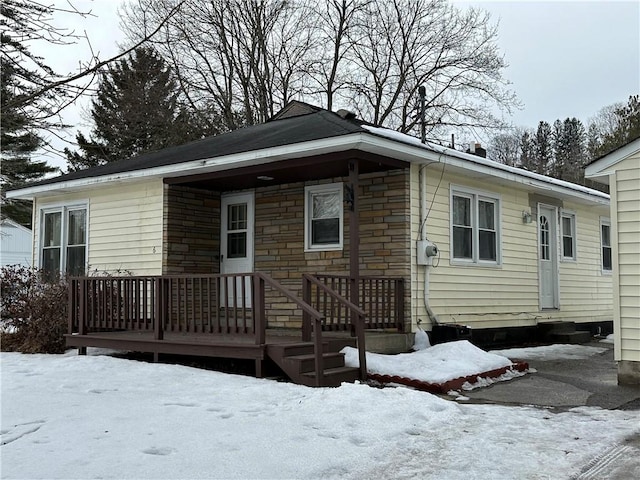 view of front facade with entry steps and stone siding