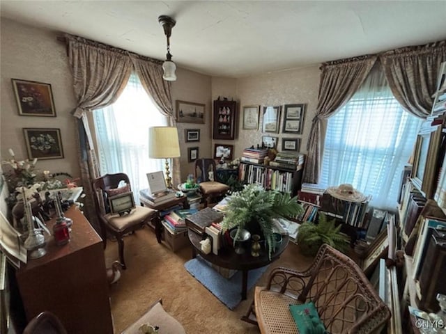 sitting room featuring carpet flooring