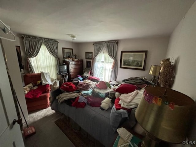 bedroom featuring multiple windows and carpet