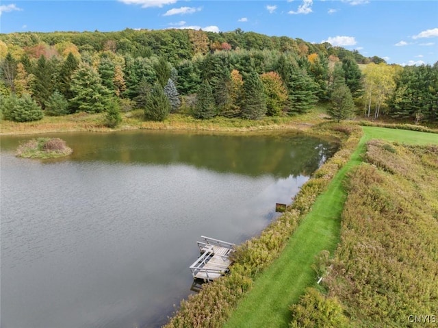 water view with a boat dock and a view of trees