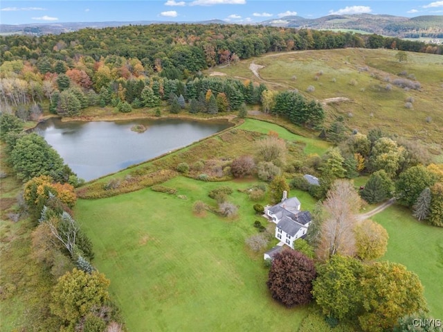 bird's eye view featuring a water view and a wooded view