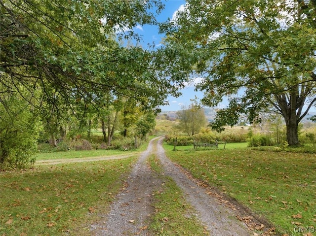 view of street