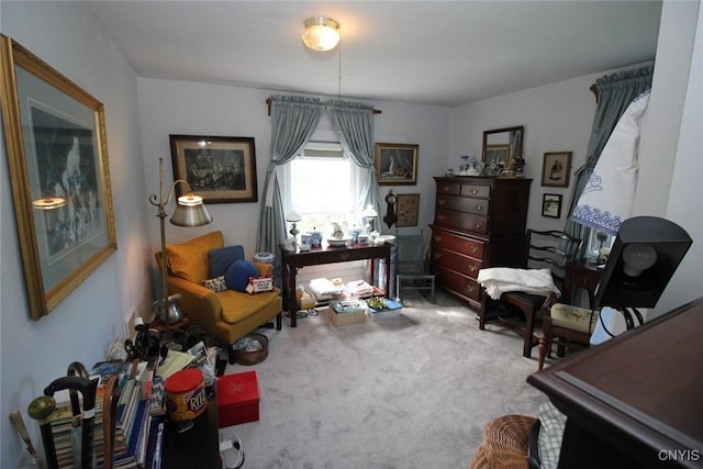 217 Walters Way, Richfield, NY 13439 - photo 22