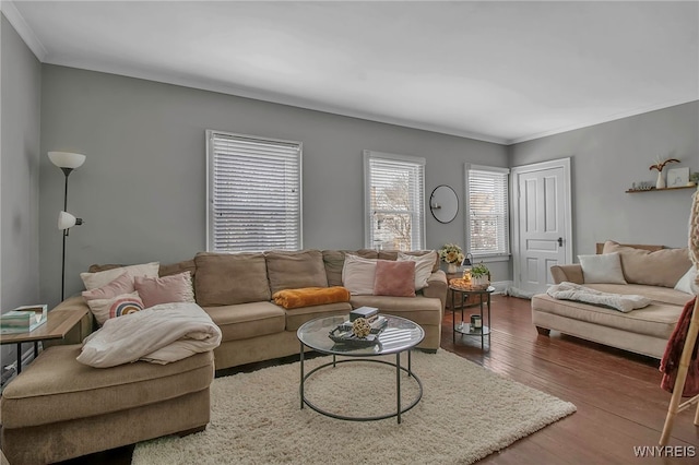 living room featuring ornamental molding and wood finished floors