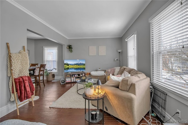 living area featuring ornamental molding, dark wood-type flooring, and baseboards