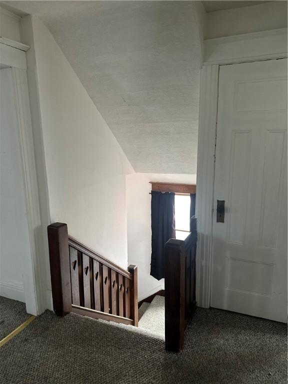 stairway with lofted ceiling and carpet