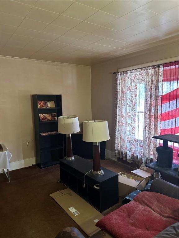 living area with carpet and baseboards