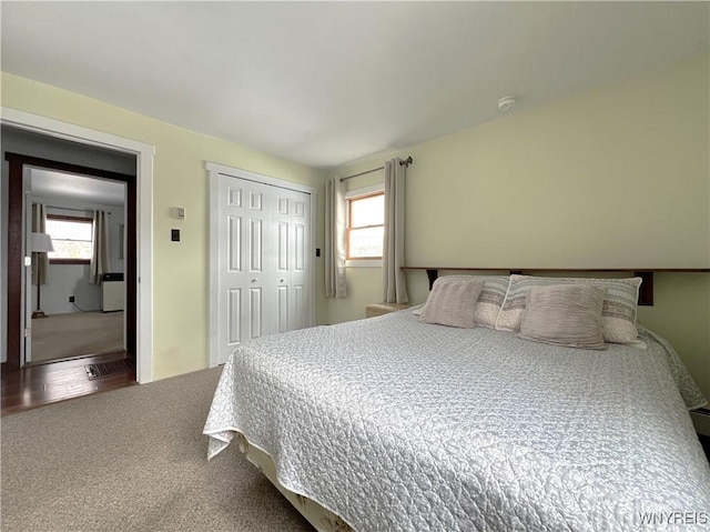 bedroom featuring carpet floors, multiple windows, and a closet