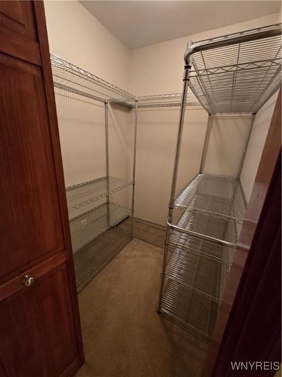 walk in closet featuring carpet floors