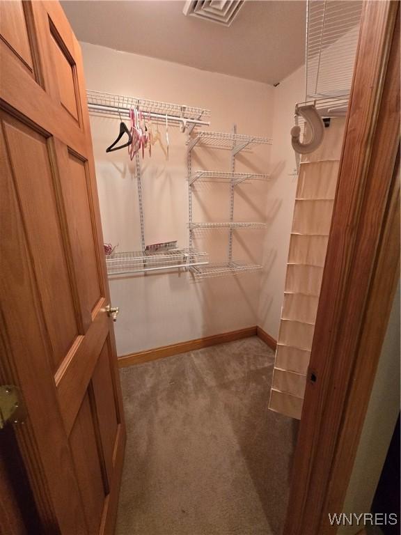 walk in closet with visible vents and carpet flooring