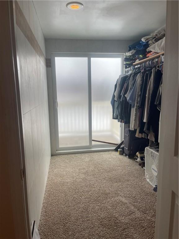 walk in closet with carpet