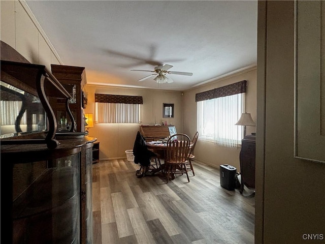 dining space with ceiling fan, crown molding, and wood finished floors