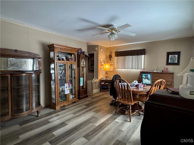 office space with wood finished floors and a ceiling fan