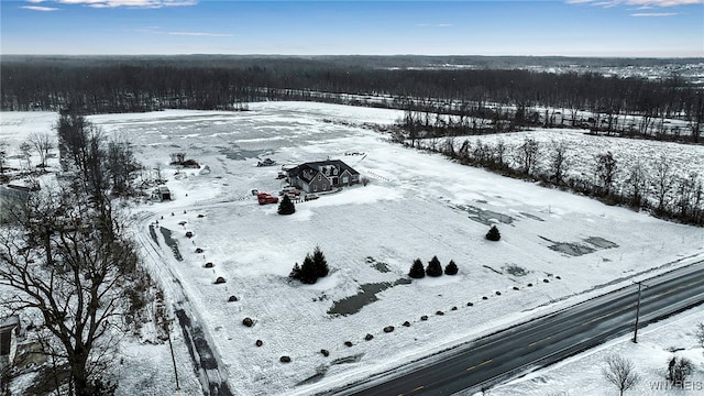 view of snowy aerial view