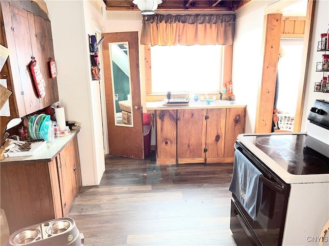 kitchen featuring range with electric stovetop, a sink, wood finished floors, light countertops, and brown cabinets