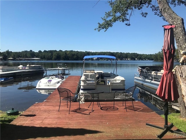 dock area featuring a water view